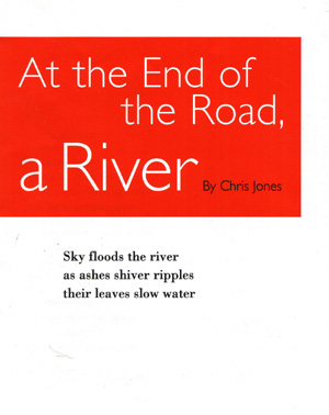 Cover for 'At the End of the Road, a River'