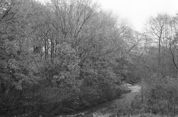 Near Ball Street Bridge, Kelham Island, Sheffield