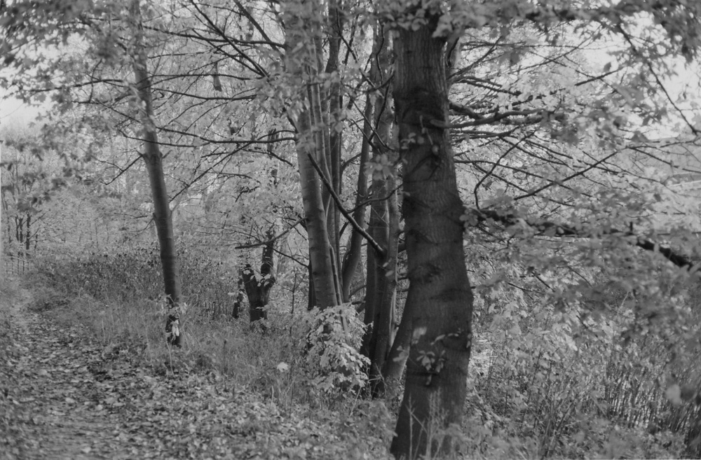 Between East Coast Road and Stevenson Road, Attercliffe, Sheffield